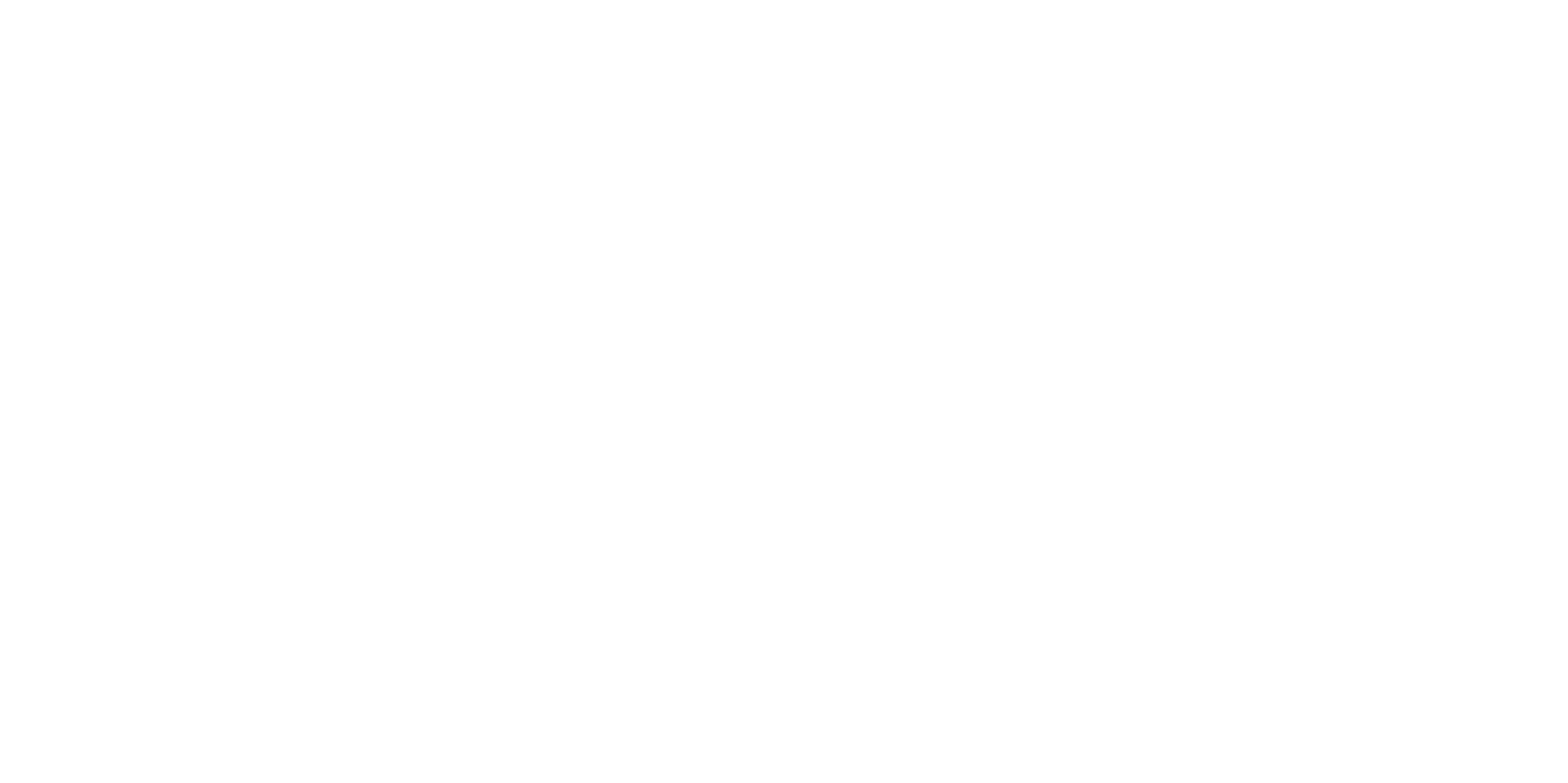 Neuralfinity Logo